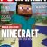 Amigos Minecraft