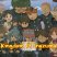 Kingdom Of Inazuma