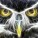 Owl black