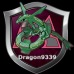 Dragon9339