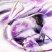 Monxopalot