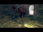 V�deo: Artorias vs Manus (Round 3 - No HUD)