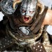 Vikingo11