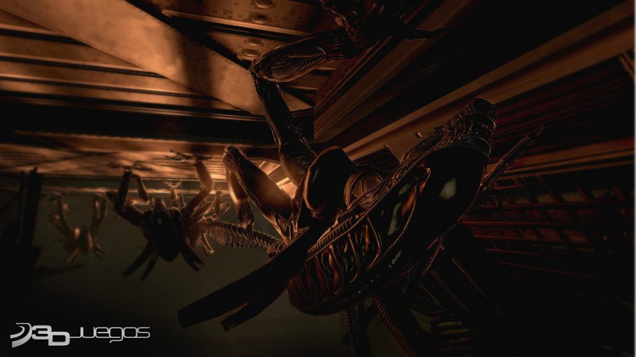 Aliens vs Predator